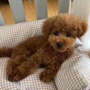 ヒメ日記 2025/04/24 20:30 投稿 ひとみ 浜松ハンパじゃない学園