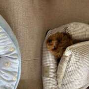 ヒメ日記 2025/04/26 16:40 投稿 ひとみ 浜松ハンパじゃない学園