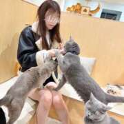 ヒメ日記 2025/03/31 14:30 投稿 Aino THE RICH