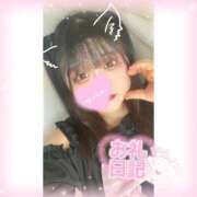 ヒメ日記 2024/12/15 16:27 投稿 いか 奴隷コレクション