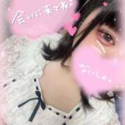 ヒメ日記 2025/03/19 00:36 投稿 いか 奴隷コレクション