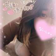 ヒメ日記 2025/04/18 15:47 投稿 いか 奴隷コレクション