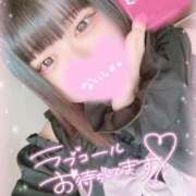 ヒメ日記 2025/05/17 12:31 投稿 いか 奴隷コレクション