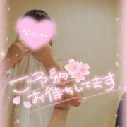 ヒメ日記 2025/05/18 20:27 投稿 いか 奴隷コレクション