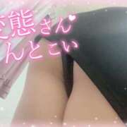 ヒメ日記 2025/06/12 00:01 投稿 いか 奴隷コレクション