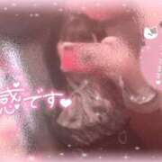 ヒメ日記 2025/06/12 19:12 投稿 いか 奴隷コレクション