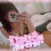 ヒメ日記 2025/07/28 11:36 投稿 いか 奴隷コレクション