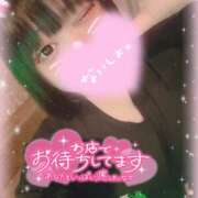 ヒメ日記 2025/08/27 13:49 投稿 いか 奴隷コレクション