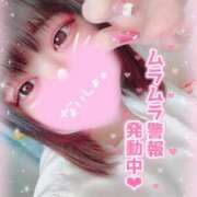 ヒメ日記 2025/08/29 13:21 投稿 いか 奴隷コレクション