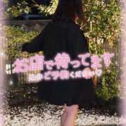 ヒメ日記 2025/10/16 13:34 投稿 いか 奴隷コレクション