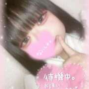 ヒメ日記 2025/11/13 00:04 投稿 いか 奴隷コレクション