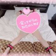 ヒメ日記 2025/11/24 17:13 投稿 いか 奴隷コレクション