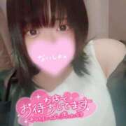 いか とーちゃく 奴隷コレクション