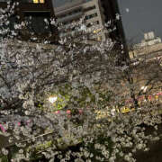 ヒメ日記 2025/04/07 17:27 投稿 ゆうみ 土浦ハッピーマットパラダイス