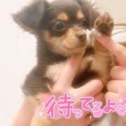 ヒメ日記 2024/12/19 16:18 投稿 奈良木 西川口デッドボール