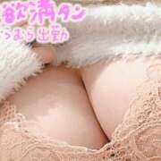 ヒメ日記 2024/12/20 09:48 投稿 奈良木 西川口デッドボール