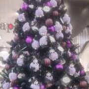 ヒメ日記 2024/12/20 23:47 投稿 奈良木 西川口デッドボール