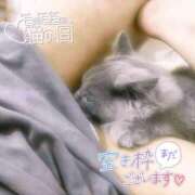 ヒメ日記 2025/02/21 14:38 投稿 奈良木 西川口デッドボール