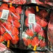 ヒメ日記 2025/03/03 22:28 投稿 奈良木 西川口デッドボール