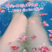 ヒメ日記 2025/04/16 08:38 投稿 奈良木 西川口デッドボール