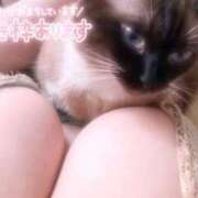 ヒメ日記 2025/07/21 11:28 投稿 奈良木 西川口デッドボール