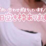 ヒメ日記 2025/09/11 10:53 投稿 奈良木 西川口デッドボール