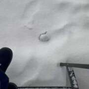 ヒメ日記 2025/01/03 08:56 投稿 ゆら お姉さんSelect