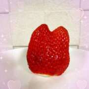 ヒメ日記 2025/02/19 09:52 投稿 ちえみ 熟女家 東大阪店（布施・長田）