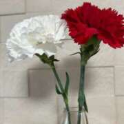 ヒメ日記 2025/05/14 09:15 投稿 ちえみ 熟女家 東大阪店（布施・長田）