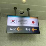 ヒメ日記 2025/12/03 13:52 投稿 ちえみ 熟女家 東大阪店（布施・長田）