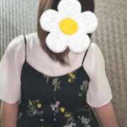 ヒメ日記 2026/06/18 09:55 投稿 ちえみ 熟女家 東大阪店（布施・長田）