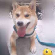 ヒメ日記 2025/04/20 16:14 投稿 ゆん 夜這専門発情する奥様たち 難波店