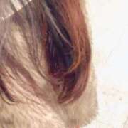 ヒメ日記 2025/12/14 19:14 投稿 ゆん 夜這専門発情する奥様たち 難波店