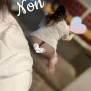 ヒメ日記 2025/10/18 13:26 投稿 のん ぽちゃかわ専門店　ぽちゃぽちゃイケてる