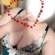 ヒメ日記 2026/02/12 15:33 投稿 のん ぽちゃかわ専門店　ぽちゃぽちゃイケてる