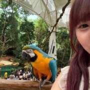 ヒメ日記 2025/05/03 12:53 投稿 ふうか エデン