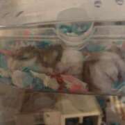 ヒメ日記 2025/05/26 13:04 投稿 ふうか エデン