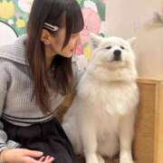 ヒメ日記 2025/06/17 23:34 投稿 ふうか エデン