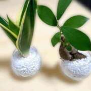 ヒメ日記 2025/11/01 20:06 投稿 れん 吉祥寺角海老