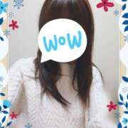 ヒメ日記 2024/12/29 10:36 投稿 かれん 所沢デリヘル桜