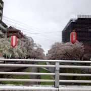 ヒメ日記 2025/03/27 11:17 投稿 かれん 所沢デリヘル桜