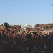 ヒメ日記 2025/04/30 13:25 投稿 かれん 所沢デリヘル桜