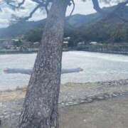 ヒメ日記 2025/01/23 20:22 投稿 なぎ 白いぽっちゃりさん