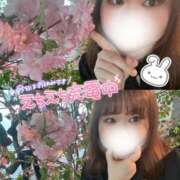 ヒメ日記 2025/04/08 12:42 投稿 なぎ 白いぽっちゃりさん