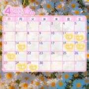 ヒメ日記 2025/04/09 07:02 投稿 なぎ 白いぽっちゃりさん