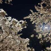 ヒメ日記 2025/04/11 12:33 投稿 なぎ 白いぽっちゃりさん