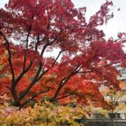 ヒメ日記 2025/11/03 09:22 投稿 なぎ 白いぽっちゃりさん