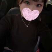 ヒメ日記 2025/12/20 12:22 投稿 なぎ 白いぽっちゃりさん