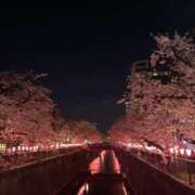 ヒメ日記 2026/04/02 21:25 投稿 光(ひかり) 渋谷蘭の会