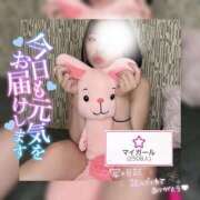 ヒメ日記 2025/08/12 10:33 投稿 えれな 素敵な女の子は好きですか？